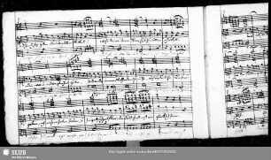 Recit[ativo] col Accomp[agnato]: Was nähret sonst die zarten Triebe