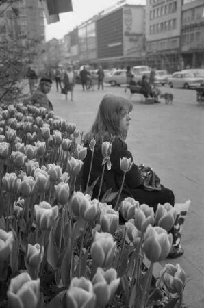 Blumenschmuck in der Karlsruher Innenstadt