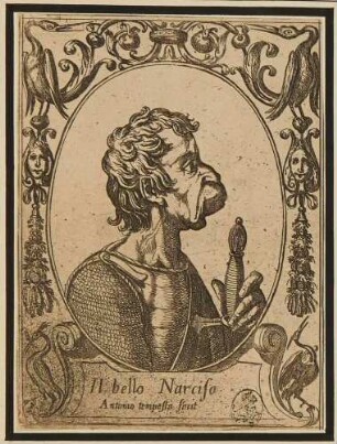 Il bello Narciso (der schöne Narziss), aus der Serie der grotesken Köpfe nach Ariosts "Orlando Furioso"