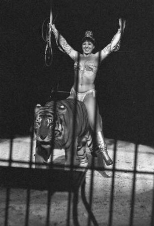 Gastspiel des Zirkus Busch-Roland auf dem Karlsruher Messplatz
