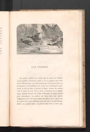 Les Voisins