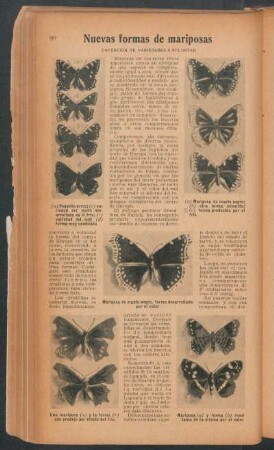 Nuevas formas de mariposas : Obtención de variedades á voluntad