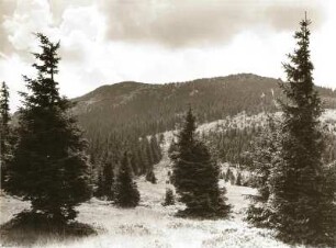 Böhmerwald. Arber. Blick vom "Skiweg"