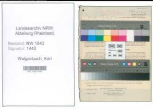 Entnazifizierung Karl Walgenbach , geb. 16.10.1904 (Milchverteiler)