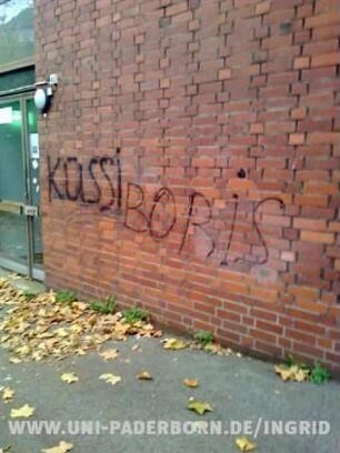 BORiS