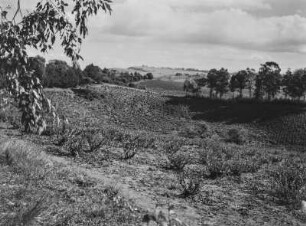 Landwirtschaftliche Anbaufläche : Landwirtschaftliche Anbauflächen in der hügeligen Landschaft des südafrikanischen Tafellandes
