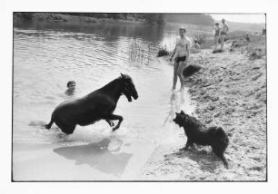Sommer auf dem Lande