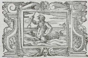 Titelbild, Libro Quartodecimo