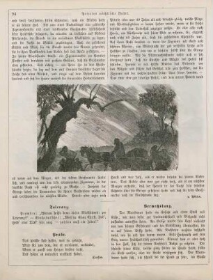 "Peterles nächtliche Fahrt"