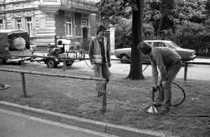 Städtisches Gartenbauamt. Vorstellung eines neuen Düngeverfahrens für Straßenbäume in der Innenstadt