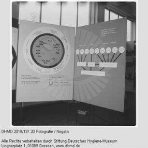 Hausausstellung - Raum 6 - Rheuma