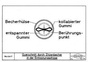 Querschnitt durch Zitzenbecher in der Entlastungsphase