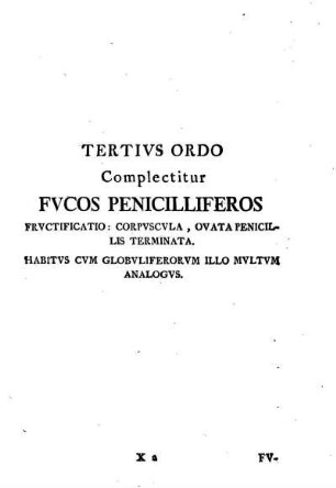 Tertius Ordo. Complectitur Fucos penicilliferos.