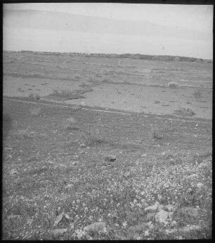 Strand unterhalb Hippos [kalat el-hosn]