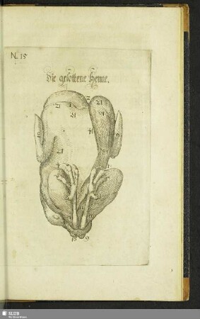 Die gesottene Henne
