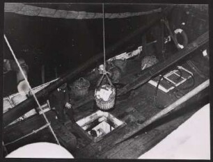 Beim Löschen des frischen Fangs am Fischereihafen Hamburg-Altona