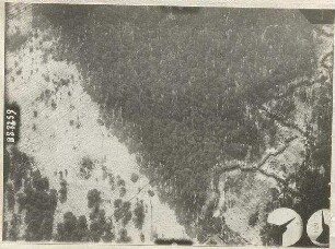 Gräben im Vogelholz nordöstlich Neufreimann (600 m)