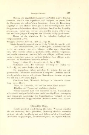Clausilia Drap