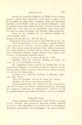Clausilia Drap