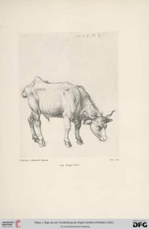 V. Tiere (Nr. 239 - 248)