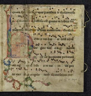 Zierinitiale: H(odie nobis celorum rex)