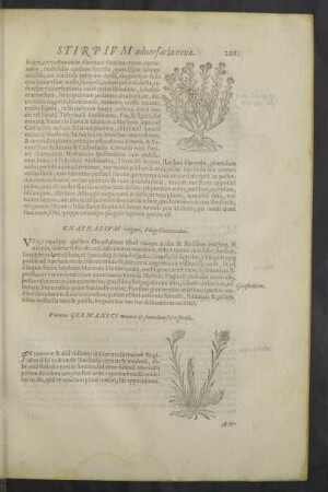 [Seiten 201 - 250]