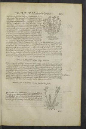 [Seiten 201 - 250]