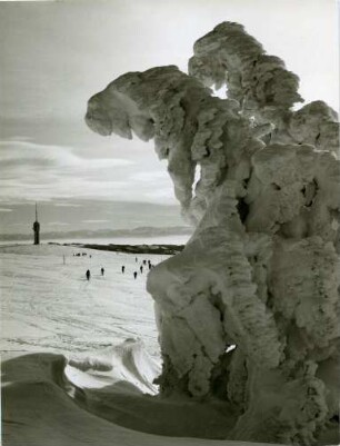 Winter am Feldberg