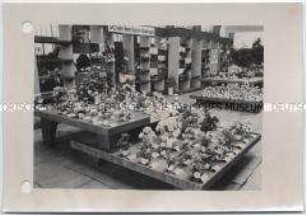 Hamburg, Internationale Gartenausstellung (IGA) 1973, Dritte Hallenschau