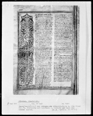Sammelhandschrift (teilweise Kopie eines Glossars aus Prüfening) — Initiale I (n nomine), Folio 7 verso