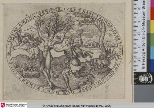 [Apollon und Daphne. Die Verwandlung; Apollo and Daphne: The Metamorphosis]