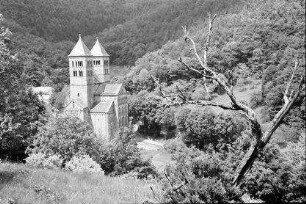 Murbach: Klosterkirche, von oben, mit kahlem Baum im Vordergrund