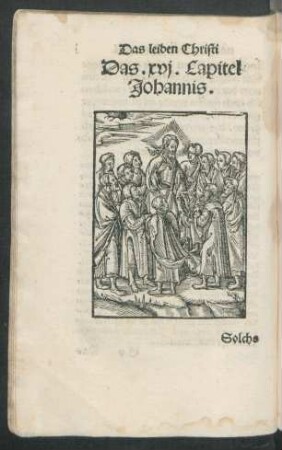Das .xvi. Capitel. Johannis.