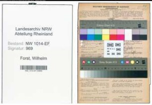 Entnazifizierung Wilhelm Forst , geb. 11.07.1895 (Haendler)