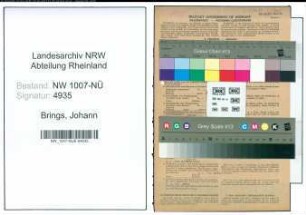 Entnazifizierung Johann Brings , geb. 28.07.1887 (Schuhmacher)