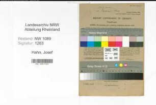 Entnazifizierung Josef Hahn , geb. 02.03.1891 (Feuerwehrmann)