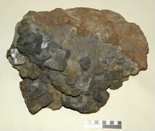 Bleiglanz und Schwefelkies auf Quarzrasen