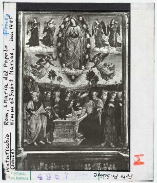 Pinturicchio (Schule): Himmelfahrt Mariä, Rom, Santa Maria del Popolo