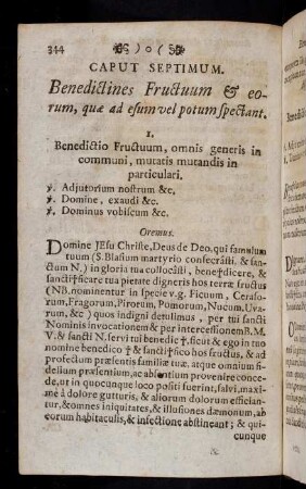 344-354, Caput Septimum. Benedictines Fructuum & eorum, quae ad esum vel potum spectant.