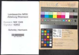 Entnazifizierung Hermann Schmitz , geb. 21.04.1901 (Vertreter)
