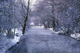 Trave am Bürgerpark im Winter