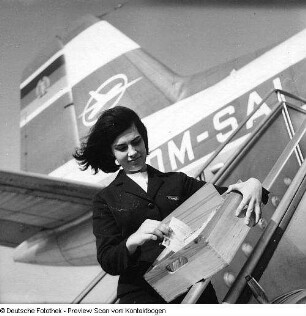 Stewardess