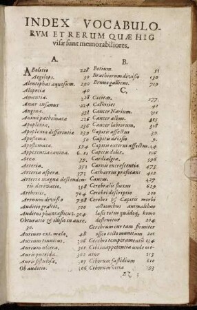 Index Vocabulorum Et Rerum Quæ Hic visæ sunt memorabiliores.