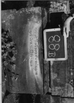 Grabstein 382 (Index: 100088011) Maße HxBxT: 205x60x30 cm: Grabstein 382B