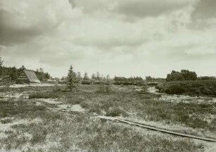Erzgebirge, Georgenfelder Hochmoor, Torfstich