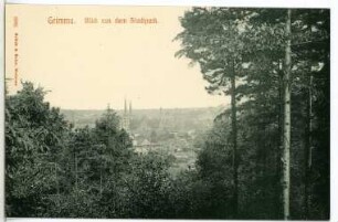 Grimma. Blick aus dem Stadtpark