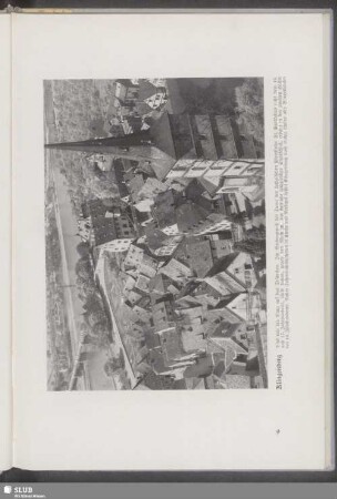Klingenberg, Bild von der Burg auf das Städtchen