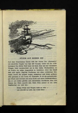 Sturm auf hoher See