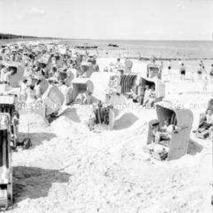 Strandkörbe am Strand von Zingst