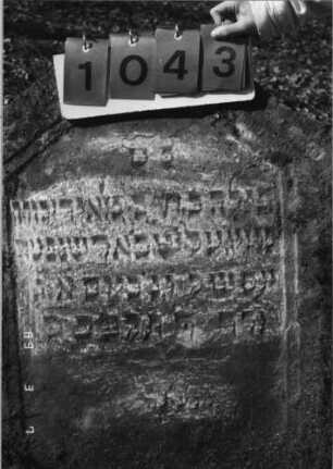 Grabstein 1043 (Index: 99751163) Material: Sandstein Zustand: verwittert Maße HxBxT: 97x70x7 cm Beschreibung: Stele, giebelartiger Abschluß, Schriftfeld eingetieft: Grabstein 1043 (Detailaufnahme)